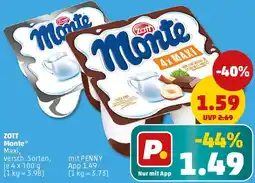 PENNY ZOTT Monte Angebot