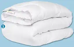 PENNY Єmma essentials Steppbett Angebot