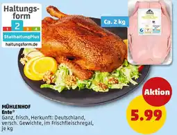 PENNY MÜHLENHOF Ente Angebot