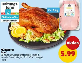 PENNY MÜHLENHOF Ente Angebot