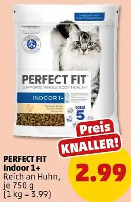 PENNY PERFECT FIT Indoor 1+ Angebot
