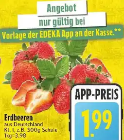 Edeka Erdbeeren Angebot
