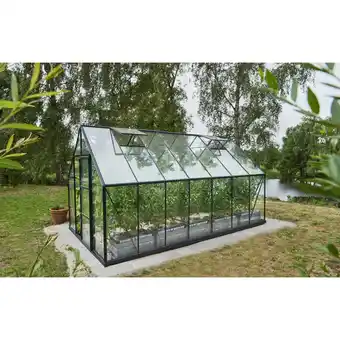 toom Baumarkt Halls Gewächshaus 'Universal 148' 446 x 257 cm mit 3 mm Blankglas schwarz Angebot