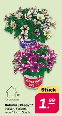 NETTO Petunia „Peppy“ Angebot