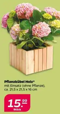 NETTO Pflanzkübel Holz Angebot