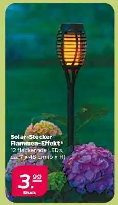 NETTO Solar-Stecker Flammen-Effekt Angebot