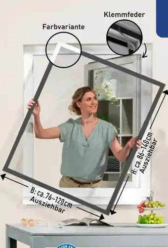 Aldi Nord Teleskop Fensterbausatz Angebot