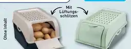 Aldi Nord Crofton Aufbewahrungsboxen für Gemüse Angebot