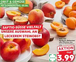 Kaufland Span./ital. Aprikosen, Nektarinen oder Pfirsiche, lose Angebot