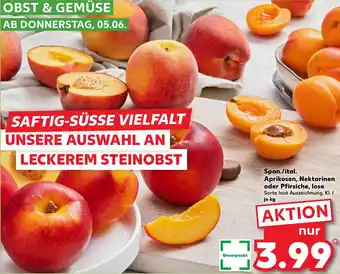 Kaufland Span./ital. Aprikosen, Nektarinen oder Pfirsiche, lose Angebot