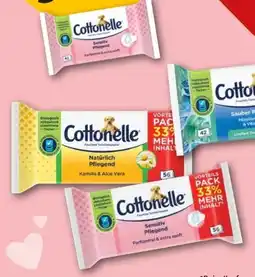 REWE Cottonelle Feuchtes Toilettenpapier Angebot