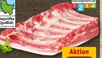 REWE Schweine-Nacken Angebot