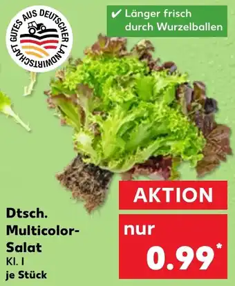 Kaufland Dtsch. Multicolor Salat Angebot