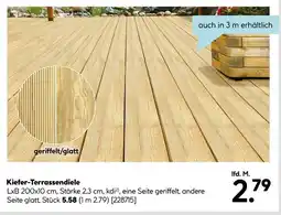 Hellweg Kiefer-terrassendiele Angebot