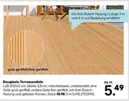 Hellweg Douglasie-terrassendiele Angebot