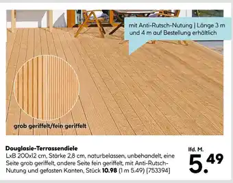 Hellweg Douglasie-terrassendiele Angebot