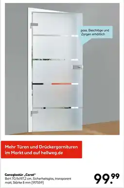 Hellweg Ganzglastür „carat“ Angebot