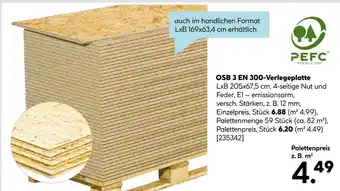 Hellweg Osb 3 en 300-verlegeplatte Angebot