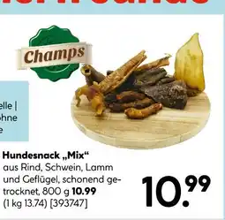 Hellweg Champs hundesnack „mix“ Angebot