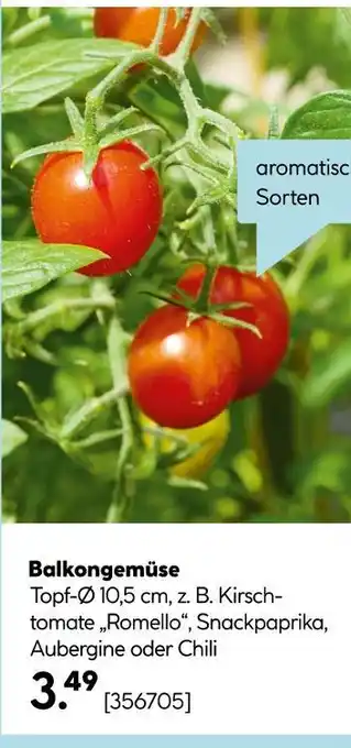 Hellweg Balkongemüse Angebot