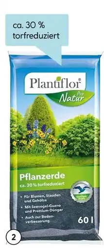 Hellweg Pflanzerde Angebot