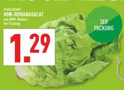 Marktkauf Mini-romanasalat Angebot
