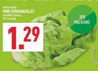 Marktkauf Mini-romanasalat Angebot