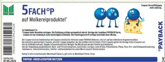 Marktkauf Payback 5fach°p auf molkereiprodukte Angebot