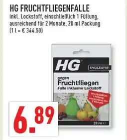 Marktkauf Hg fruchtfliegenfalle Angebot