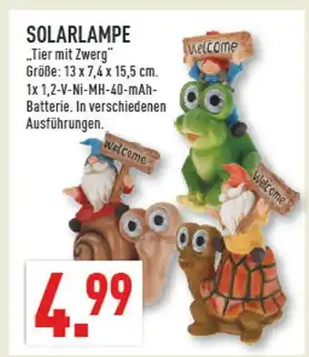 Marktkauf Solarlampe tier mit zwerg Angebot