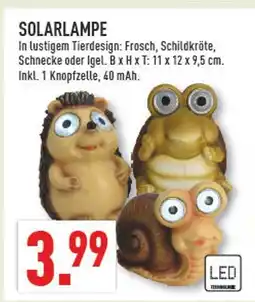 Marktkauf Solarlampe Angebot