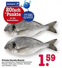 E-Center Frische dorade royale Angebot