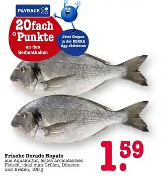 E-Center Frische dorade royale Angebot