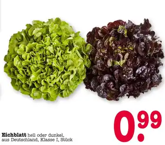 E-Center Eichblatt hell oder dunkel Angebot