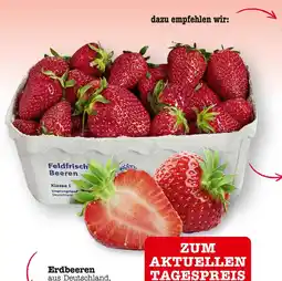 E-Center Erdbeeren Angebot