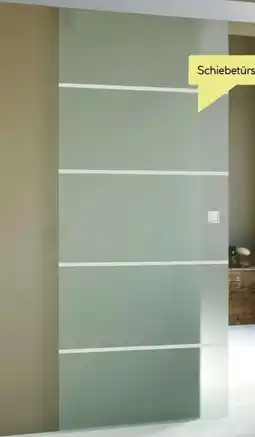 BayWa Glasschiebetür Stripes Angebot