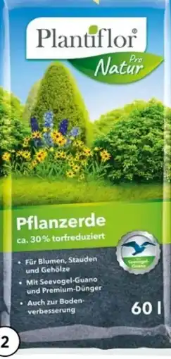 BayWa Plantiflor Pflanzerde Angebot