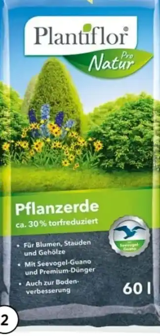 BayWa Plantiflor Pflanzerde Angebot