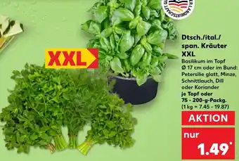 Kaufland Dtsch./ital./ span. Kräuter XXL Angebot