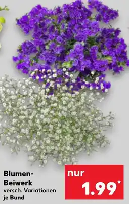 Kaufland Blumen Beiwerk Angebot
