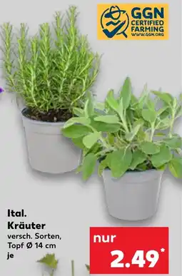 Kaufland Ital. Kräuter Angebot