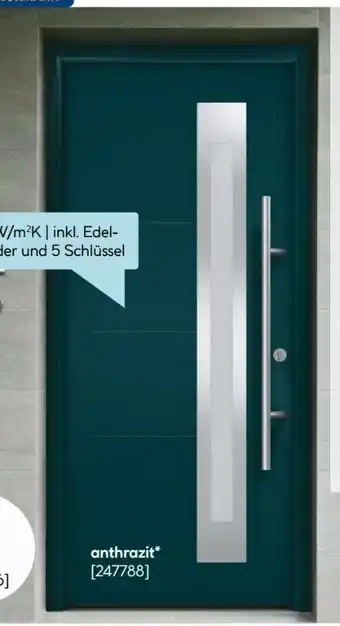 Hellweg Ecostar Haustür Isopro Secur IPS 780S Angebot