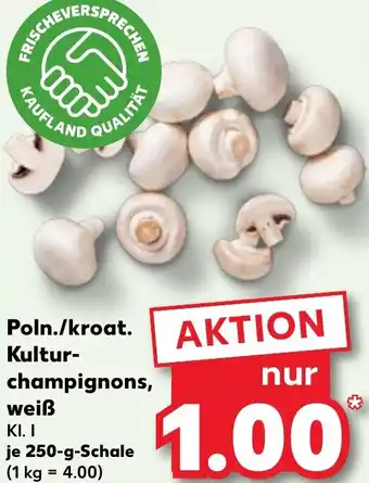 Kaufland Poln./kroat. Kulturchampignons, weiß Angebot
