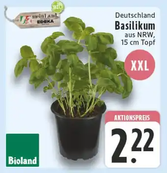 Edeka Bioland basilikum Angebot