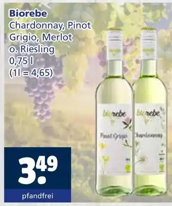 Getränkewelt Biorebe chardonnay, pinot grigio, merlot o. riesling Angebot