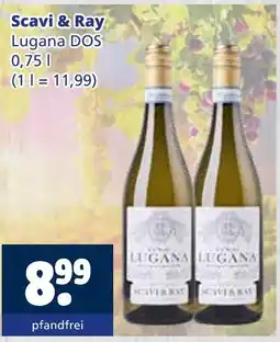 Getränkewelt Scavi & ray lugana dos Angebot