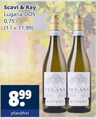 Getränkewelt Scavi & ray lugana dos Angebot