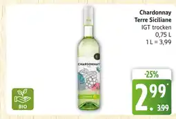 Marktkauf Chardonnay terre siciliane Angebot