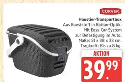 Marktkauf Curver haustier-transportbox Angebot