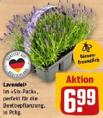 REWE Lavendel Angebot